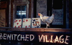 Fairyland Zoo Postcard