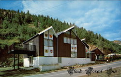 Black Forest Inn Postcard