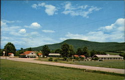 The Vermonter The Vermonter