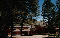Shoshone Lodge Cody, WY Postcard Postcard