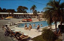 The Dolphin Motel Postcard