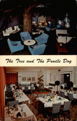 The Tree and The Poodle Dog Postcard