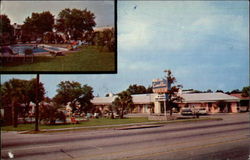 Camelia motel Postcard