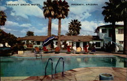 Cocanut Grove Motel Postcard