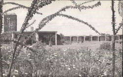 Motel Hacienda Postcard