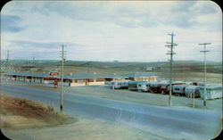 Motel and Trailer Court Postcard