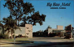 Big Bass Motel Postcard