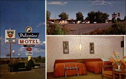 Palomino Motel Las Vegas, NM Postcard Postcard
