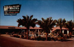 Arizona Palms Motel Phoenix, AZ Postcard Postcard
