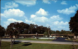 Alamo Motel Postcard