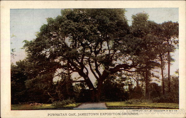 Powhatan Oak Norfolk Virginia 1907 Jamestown Exposition