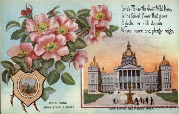 State Capitol Des Moines Iowa State Flowers & Seals