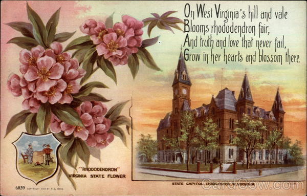 Virginia State Flower and Capitol Charleston West Virginia