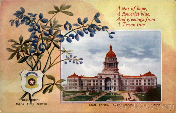 Texas State Flower and Capitol Austin State Flowers & Seals