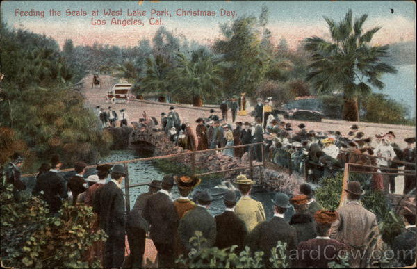 Feeding the Seals at West Lake Park, Christmas Day Los Angeles California