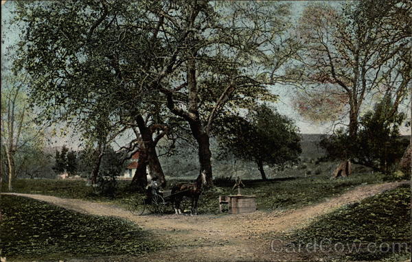 Santa Monica Canyon California