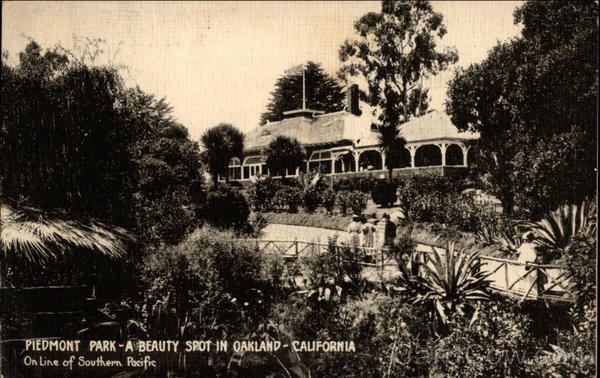 Piedmont Park - A Beauty Spot Oakland California