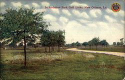 In Audubon Park Golf Links New Orleans, LA Postcard Postcard