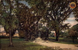 Lovers Lane - Audubon Park Postcard