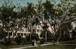 Gardens, Front Royal Poinciana Postcard