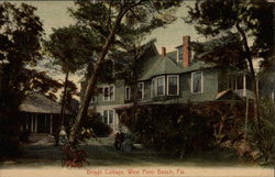 Briggs Cottage Postcard