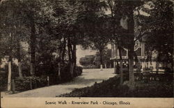 Scenic Walk, Riverview Park Postcard