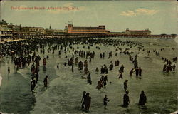 The Crowded Beach Postcard