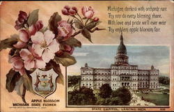 Michigan State Card Lansing, MI Postcard Postcard