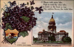 Illinois state flower and state capitol Illinois state flower and state capitol