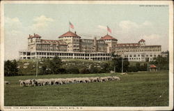The Mount Washington Hotel Postcard