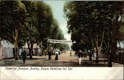 Catalina Avenue, Avalon Santa Catalina Island, CA Postcard Postcard