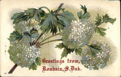 Greetings from Roubaix, S. Dak Postcard