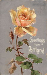 Greetings from Portland Postcard