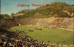 California Memorial Stadium, University of California Postcard