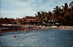 Kona Inn, Kailua, Island of Hawaii Postcard