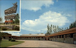Thunderbird Motel Chilton, WI Postcard Postcard