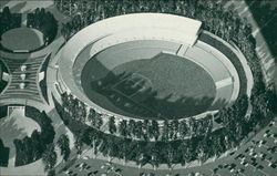 Oakland-Alameda County Coliseum Postcard