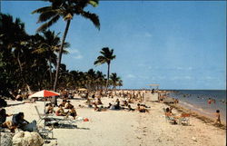 Beach at Crandon Park Postcard