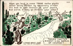 Texas Boast Card Postcard