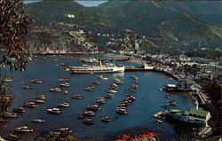 The Bay at Avalon from near the Carillon Tower Postcard