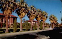 Glimpse of University of Arizona Campus seen from the West Gate Postcard