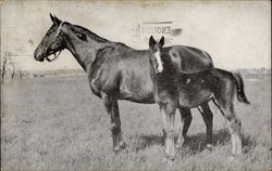 Stock #211649 Thumbnail