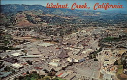 Aerial View of Business District Walnut Creek, CA Postcard Postcard