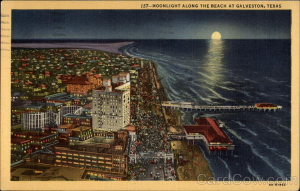 Moonlight Along The Beach Galveston Texas