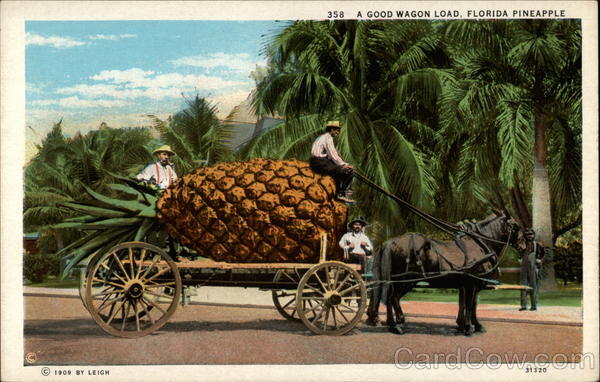 A Good Wagon Load, Florida Pineapple Exaggeration