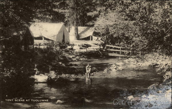 Tent Scene at Tuolumne California