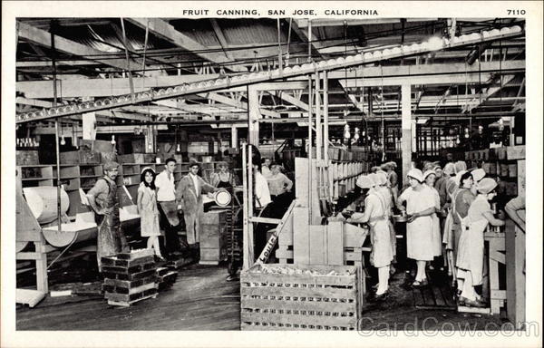 Fruit Canning San Jose California