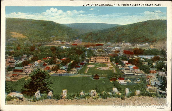 View of Salamanca, NY from Allegany State Park New York