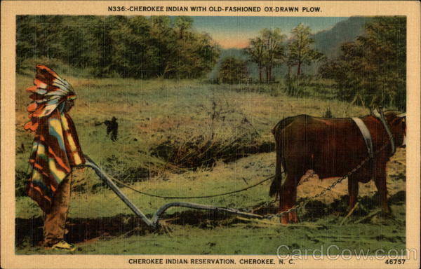 Cherokee Indian with Old-fashioned Ox-Drawn Plow, Cherokee Indian Reservation North Carolina