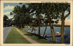 Shoreline Drive Detroit Lakes, MN Postcard Postcard